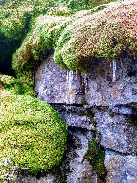 Ekte skjønnhet ligger i det uperfekte