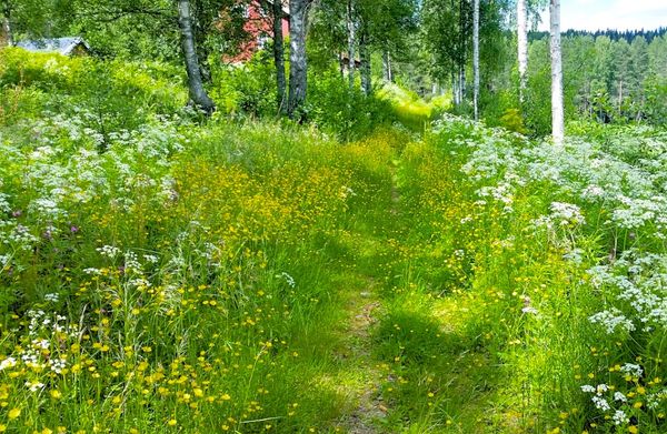 Løp en blomstereng!