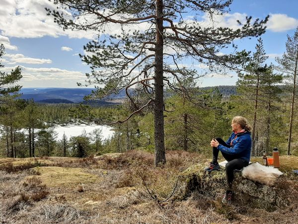 Overnatting med telt på toppen av Oslo